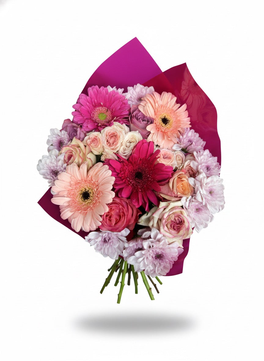 Pink Surprise (medium)