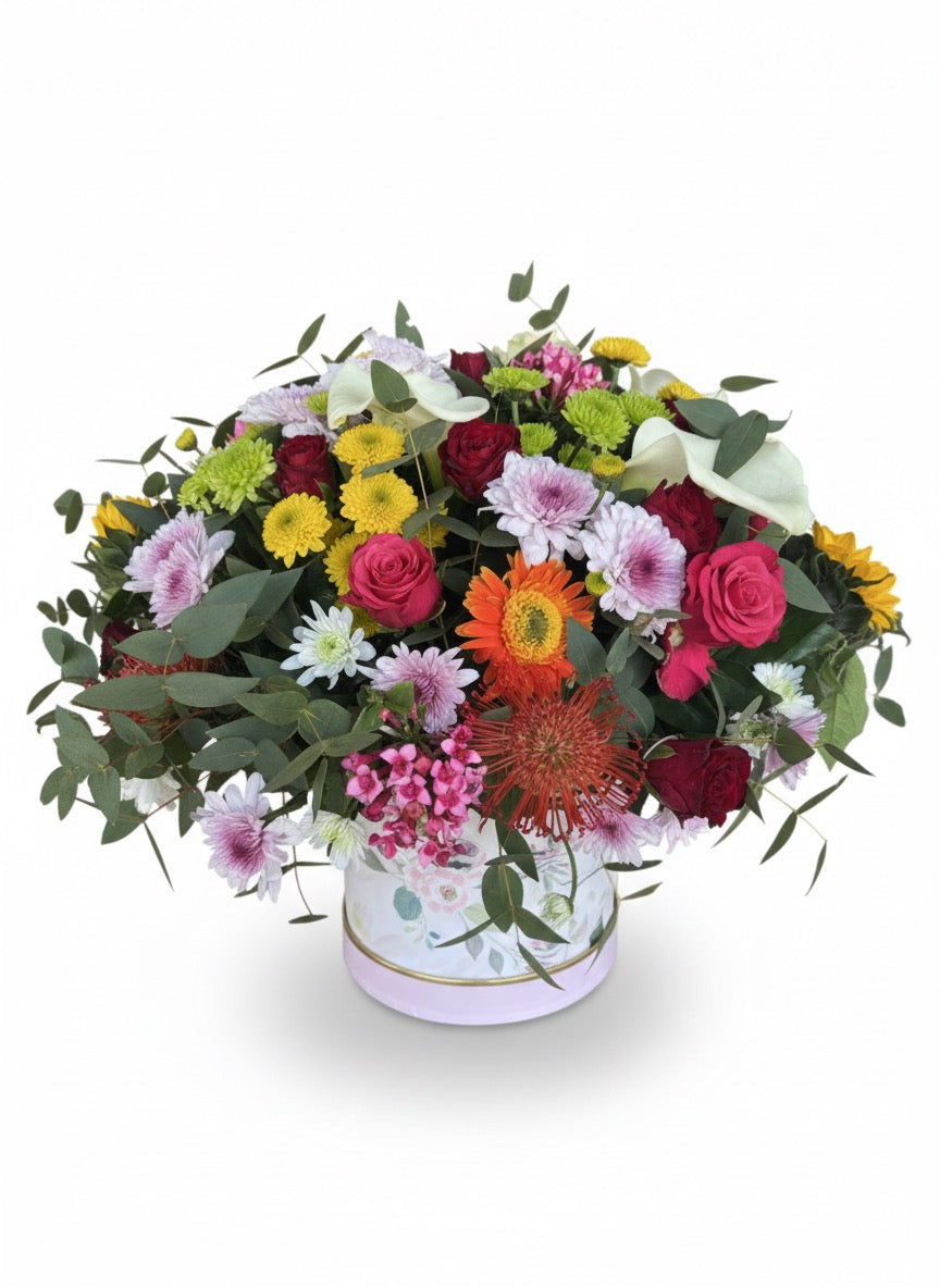 Box Colourful (large)