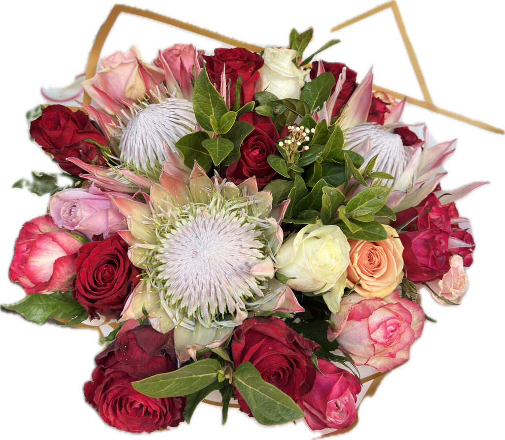 Protea Love